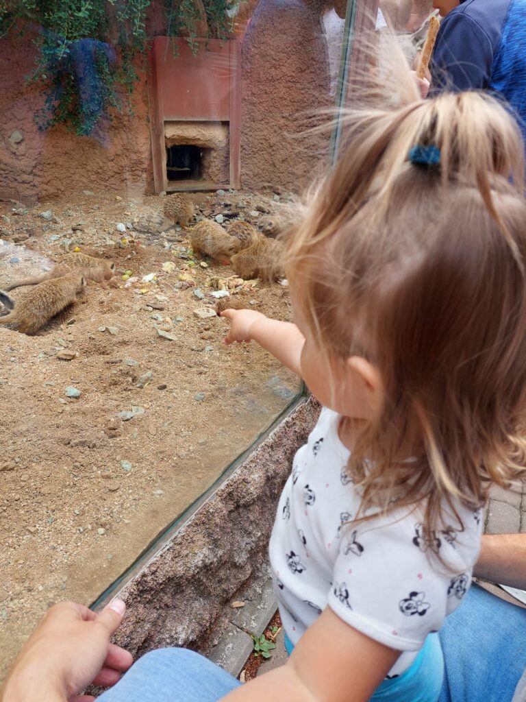 Kateřinka říkající její oblíbené slovo: SUJIKATA (rozuměj surikata :-))